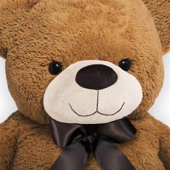 Teddybeer, 150cm, knuffel, knuffelbeer, bruin, met strik, pootafdruk, Valentijn